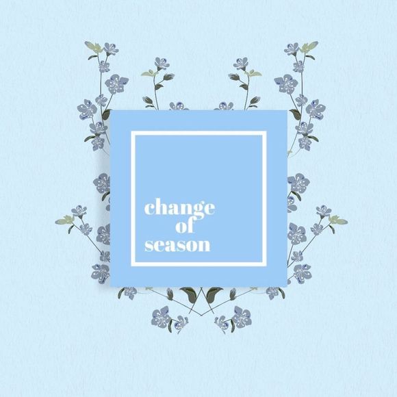 Rachel Comey Black Bikini top - Picture 14 of 14